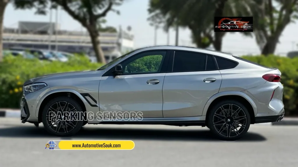 2021 BMW X6 M Competition 4.4L V8 004