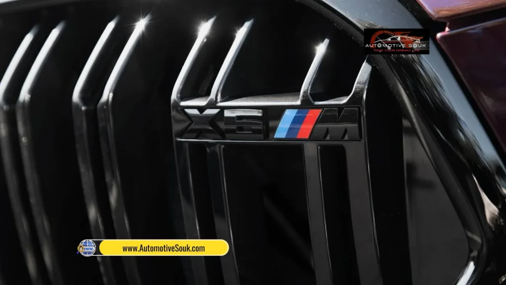 2021 BMW X6 M Competition 4.4L V8 021