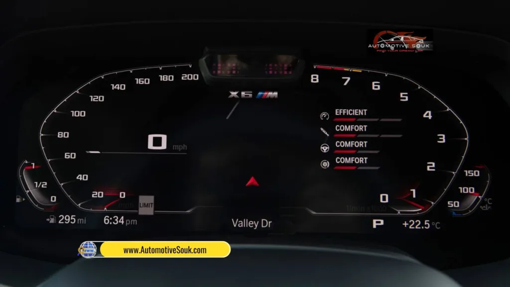 2021 BMW X6 M Competition 4.4L V8 030